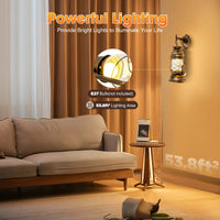 Vintage Radiance Wall Sconce™